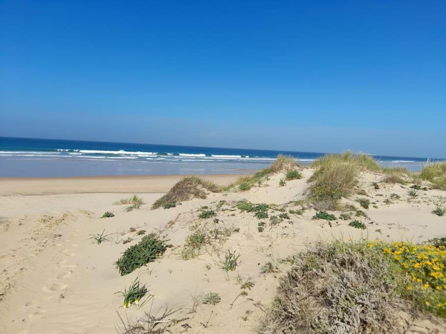 צ'יקלנה דה לה פרונטרה Apartamento Playa La Barrosa מראה חיצוני תמונה