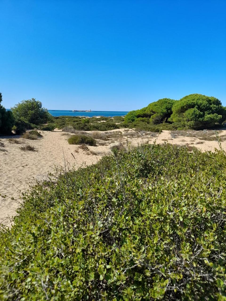 צ'יקלנה דה לה פרונטרה Apartamento Playa La Barrosa מראה חיצוני תמונה
